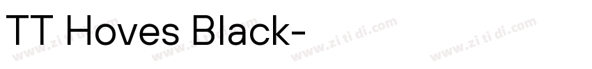 TT Hoves Black字体转换